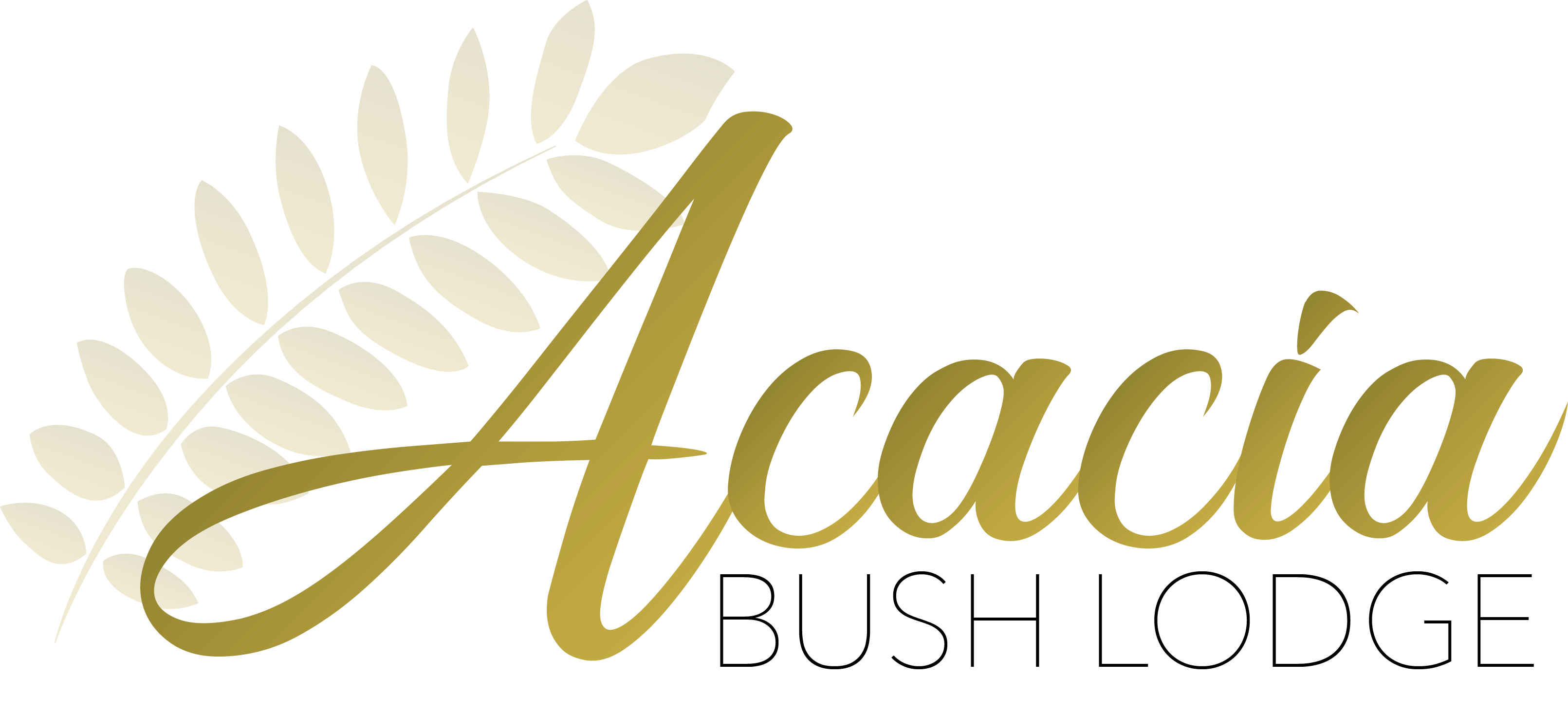 Acacia Busho Lodge Logo_Gold